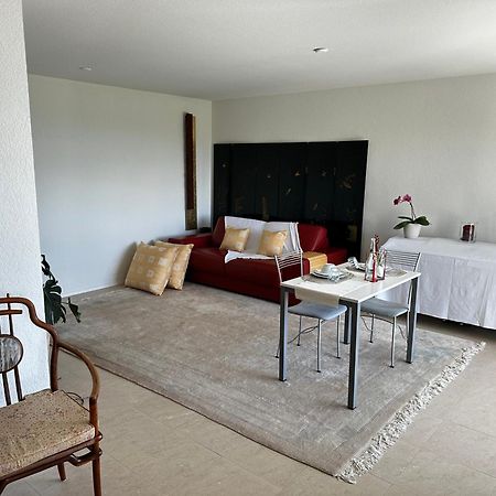 Lakeview Apartment-Lavaux Grandvaux Bagian luar foto